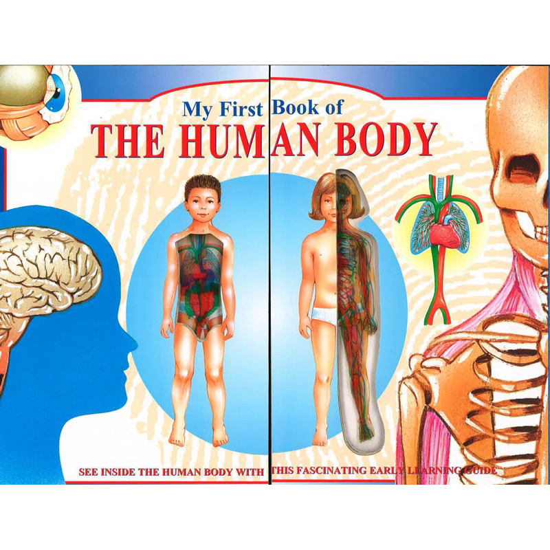 MY FIRST BOOK OF HUMAN BODY