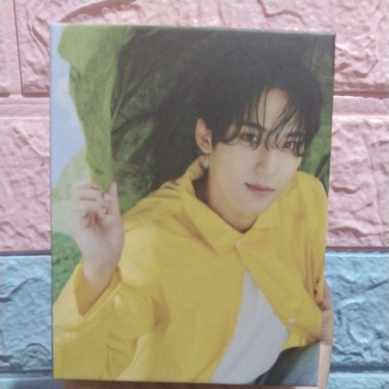 Seventeen Heaven Carat Ver Mingyu Ver (booklet+PC set)