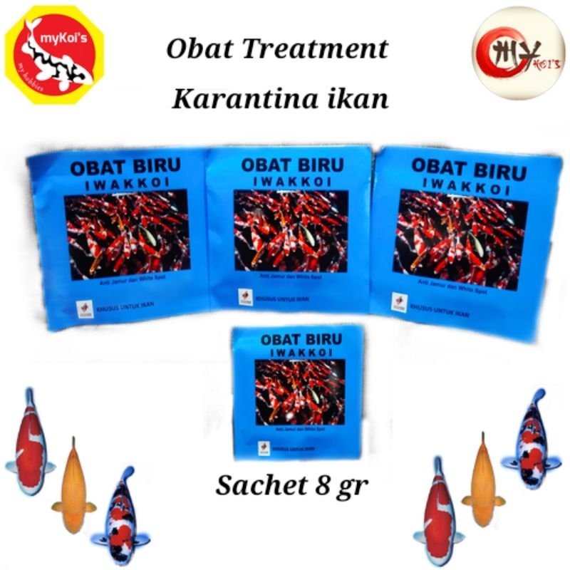 Obat karantina ikan iwak koi