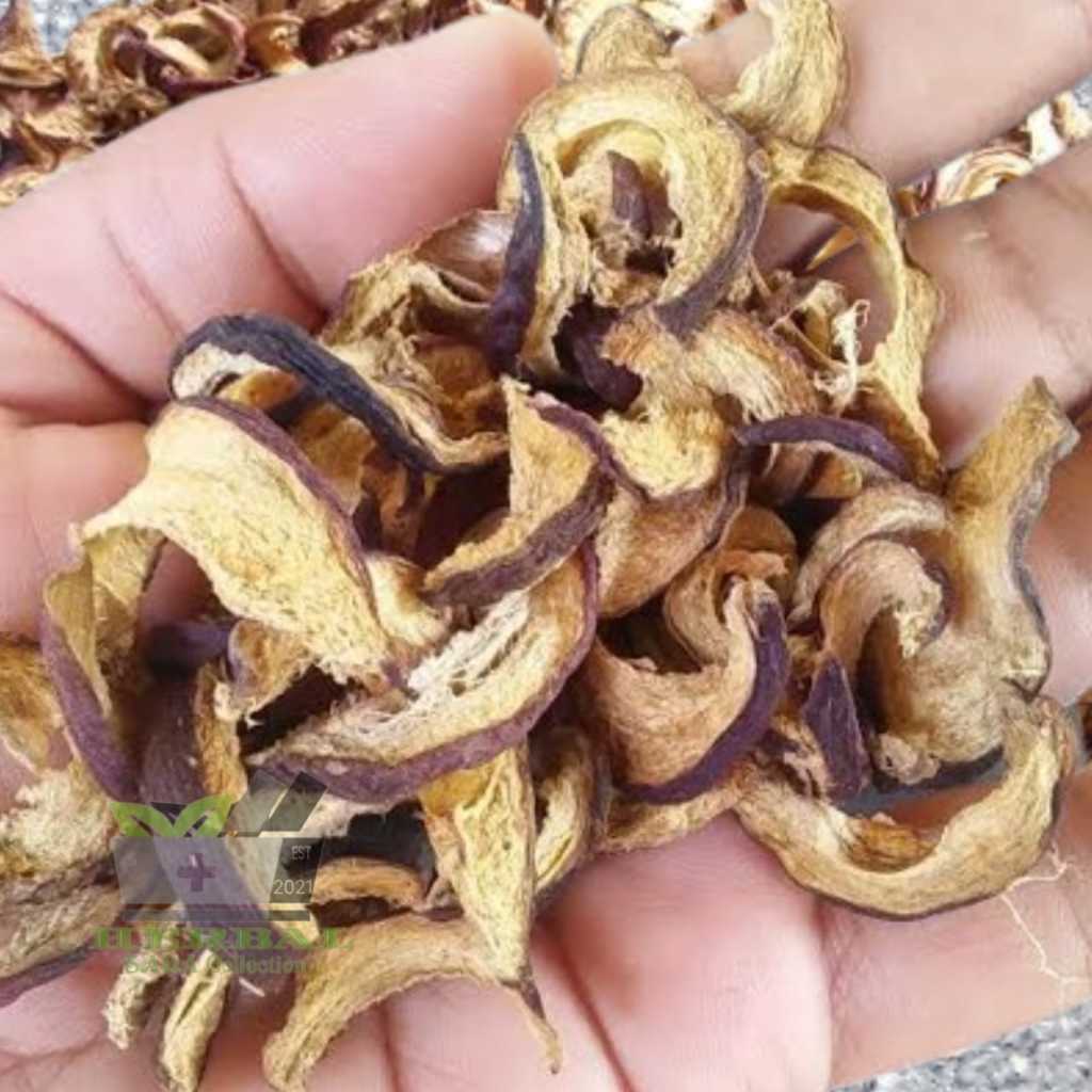 

Mahkota Dewa Kering 50 gram Phaleria macrocarpa