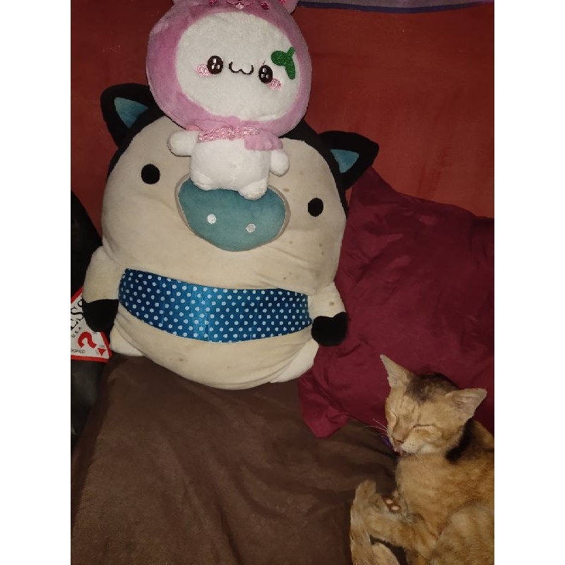 take all boneka prelove