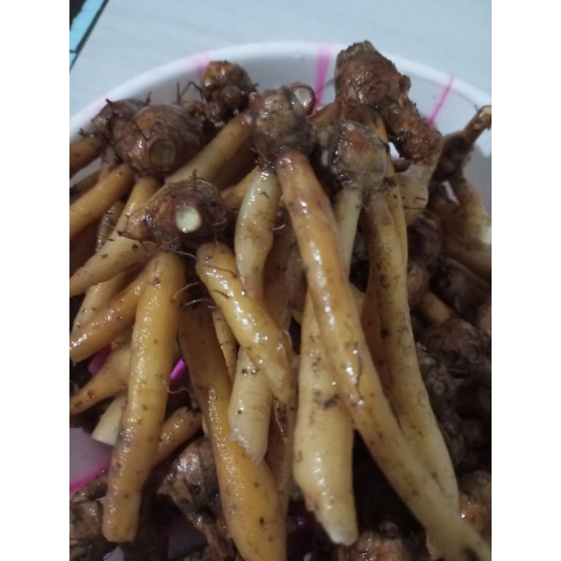 

HERBAL TEMU KUNCI HERBAL SEGAR 500gr