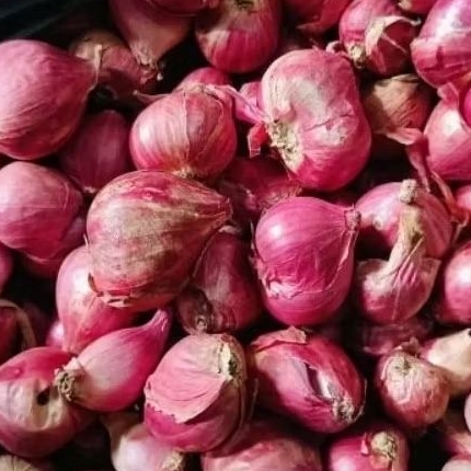 

BAWANG MERAH 1 KG MURAH