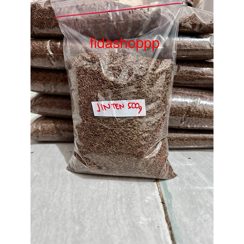 

jintan masak 500 gram jinten caraway poland