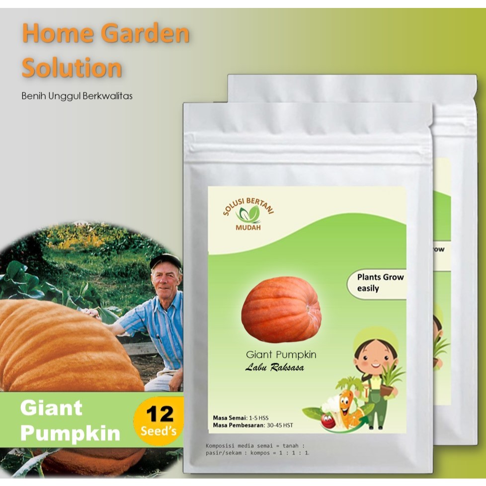 12 Bibit Benih Labu Raksasa Giant Pumpkin