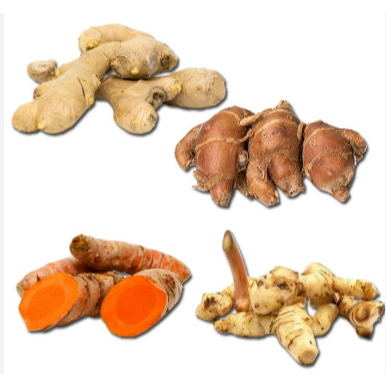 

Bumbu Dapur Kirim Instan Bandung Fresh