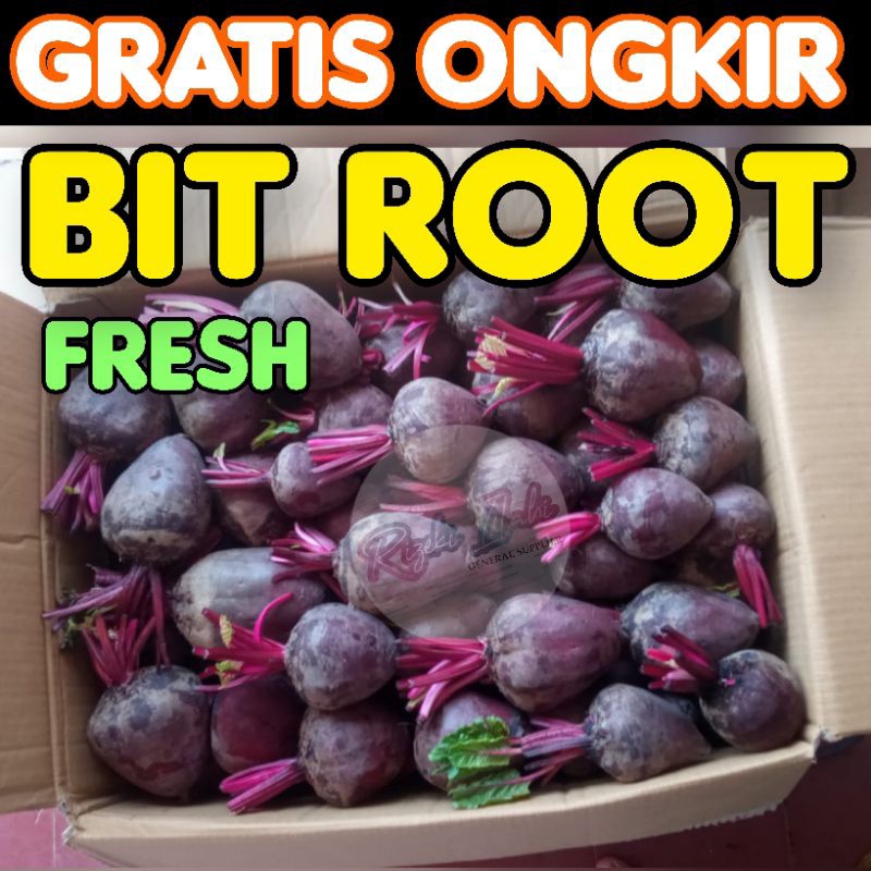 

1 KG BUAH BIT ROOT UNGU FRESH SEGAR BERKHASIAT GROSIR ECER MURAH BANDUNG