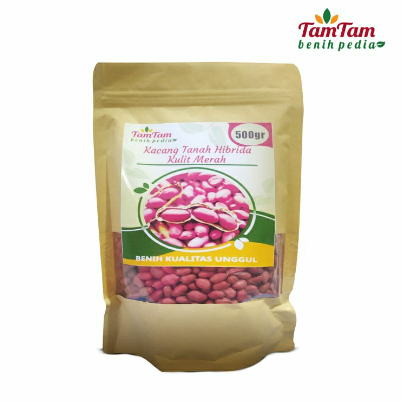 BENIH KACANG TANAH JUMBO SUPER HIBRIDA/kulit merah (isi 500 gram)
