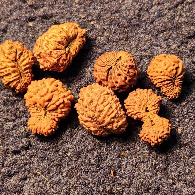 Mukhi 18 murah, grade C