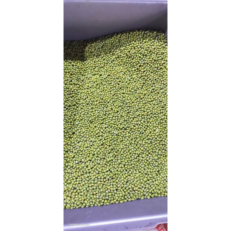 

kacang hijau 1kg