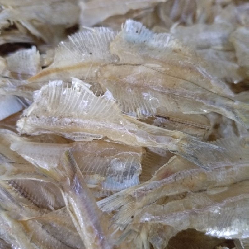 

Ikan Tipis Pakang Asin