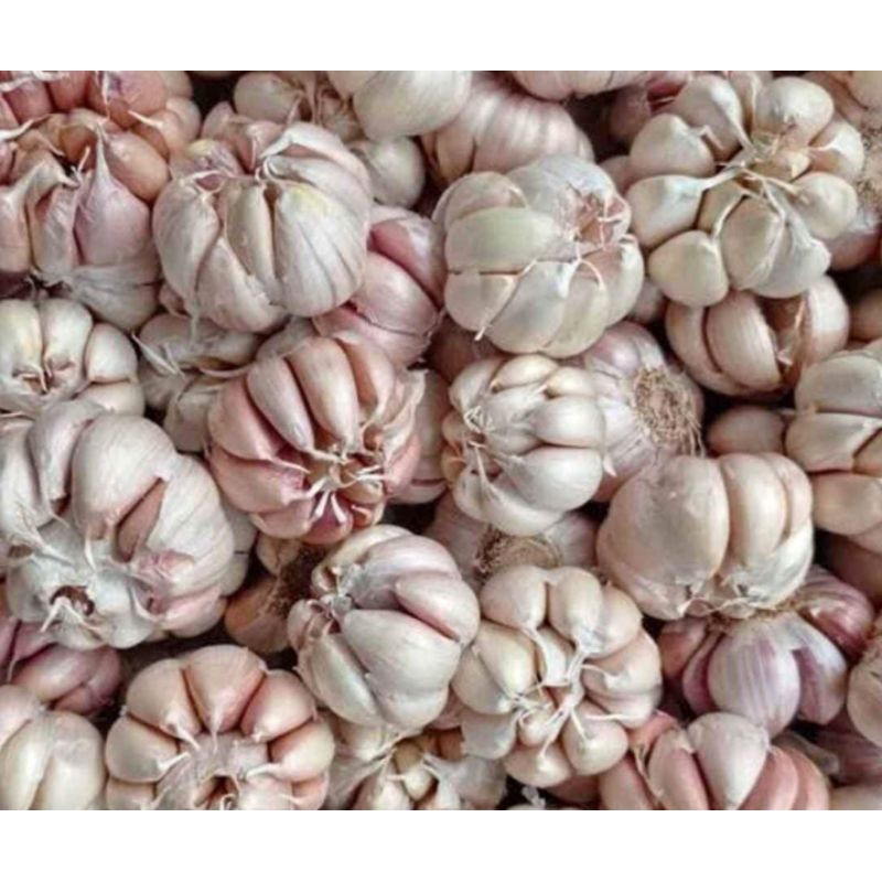 

BAWANG PUTIH 1 KG