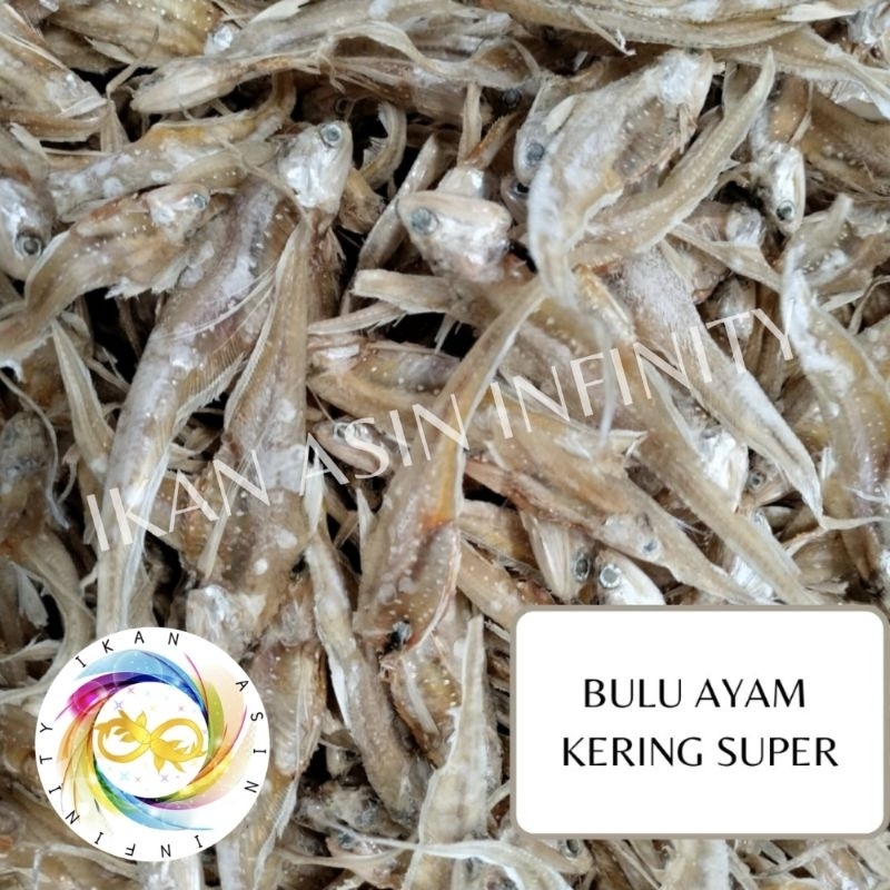 

Ikan Asin Bulu Ayam Kering Super (250 gram)