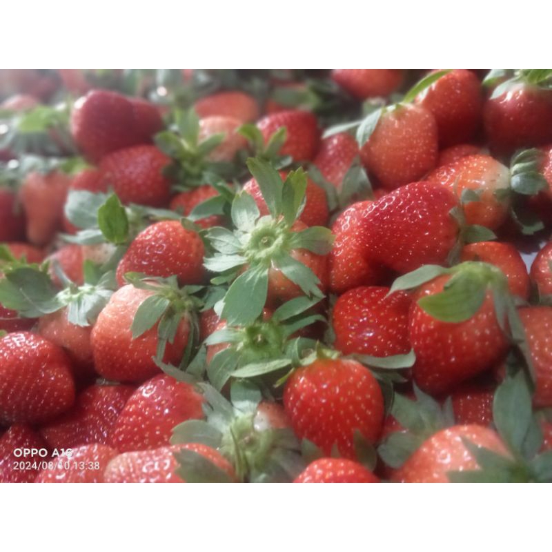 

strawberry grade A jumbo