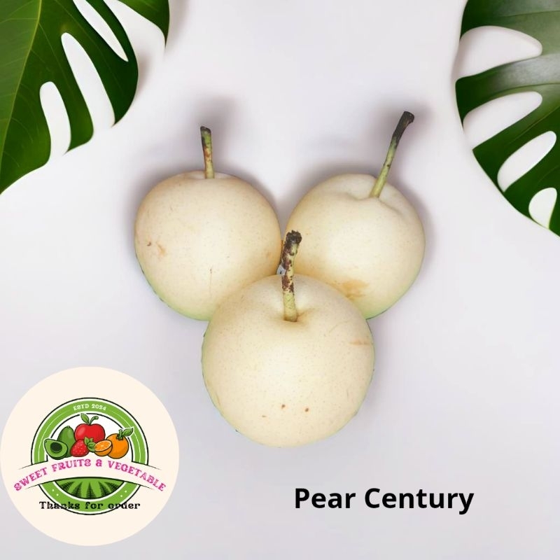 

Pear Century