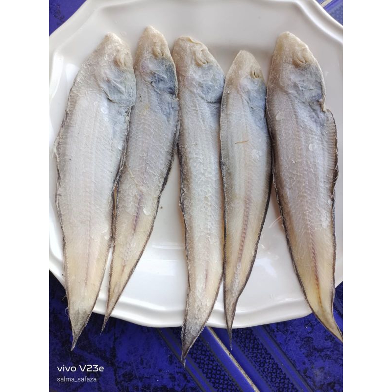 

Ikan Asin Lidah/Ikan Asin Lendra Kering 100 gram