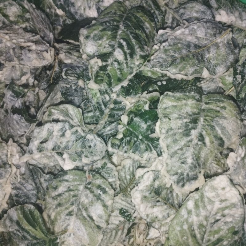 

bayam crispy