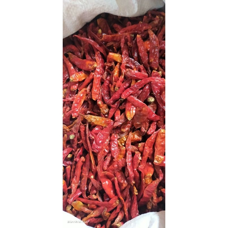 

cabe merah kering teja