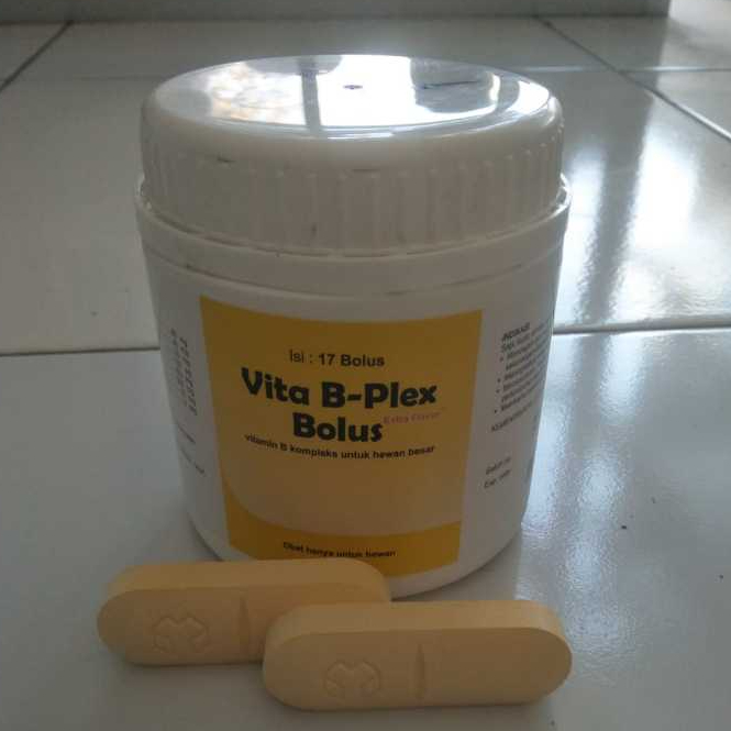 Medion / Vita B-Plex Bolus Ecer @1 bolus / Vitamin B kompleks untuk hewan besar