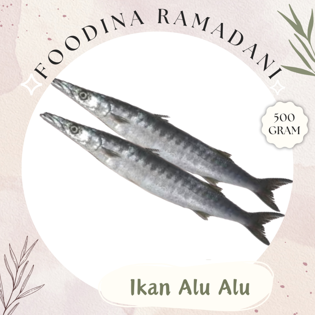 

IKAN ALU ALU Barakuda - Barracuda Fish Fresh [ Berat 500gr ] Harga Per 0,5 Kg