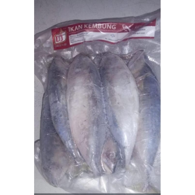 

Ikan Kembung Frozen 1kg