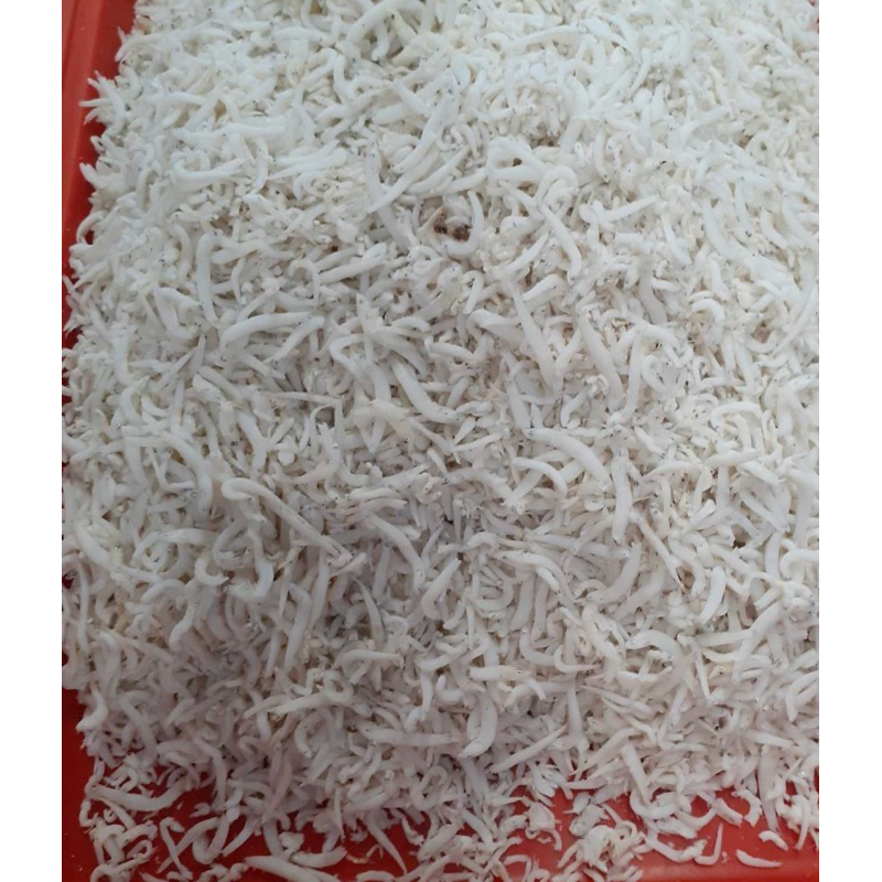 

ikan asin teri medan