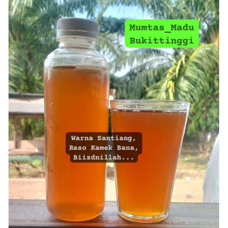 

Madu Murni Lebah Hutan Liar Sialang 1kg Madu Sialang Asli Lebah Liar Dorsata