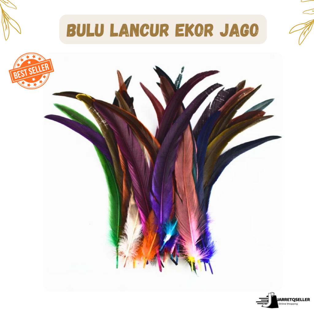 🆕 Bulu Ayam Bagus Premium | Bulu Ekor Jago Panjang  27-45 Cm | Bulu Lancur Ayam Jago Gradasi |Ready