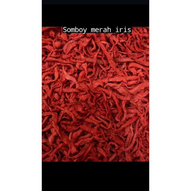 

SOMBOY MERAH IRIS PER ONS SUPER RINGAN ISI BANYAK