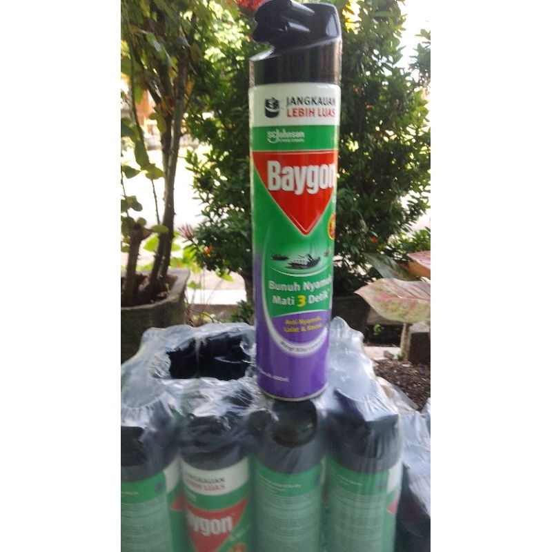 Baygon spray