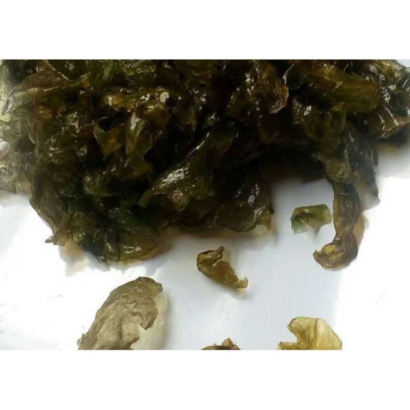 

jamur Selo segar jamur pecel 500g