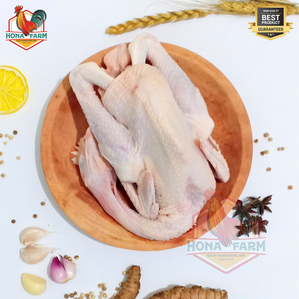 

Hona Farm Ayam Kampung Organik Probiotik 700-799gr (UTUH)