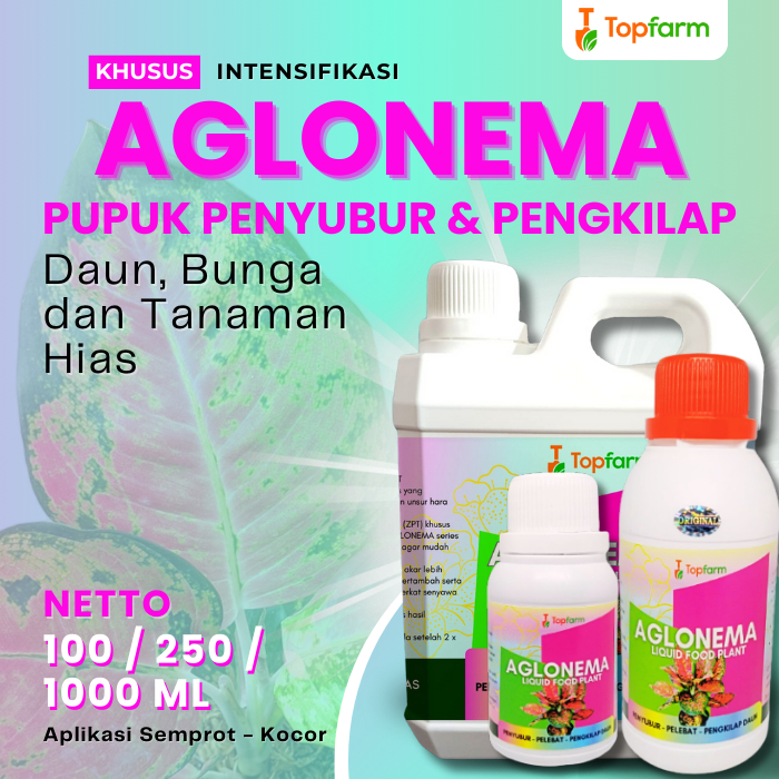 Pupuk Aglonema Untuk Daun Akar / Pupuk Aglonema Cepat Beranak / Pupuk Aglonema Lengkap / Pupuk Khusu
