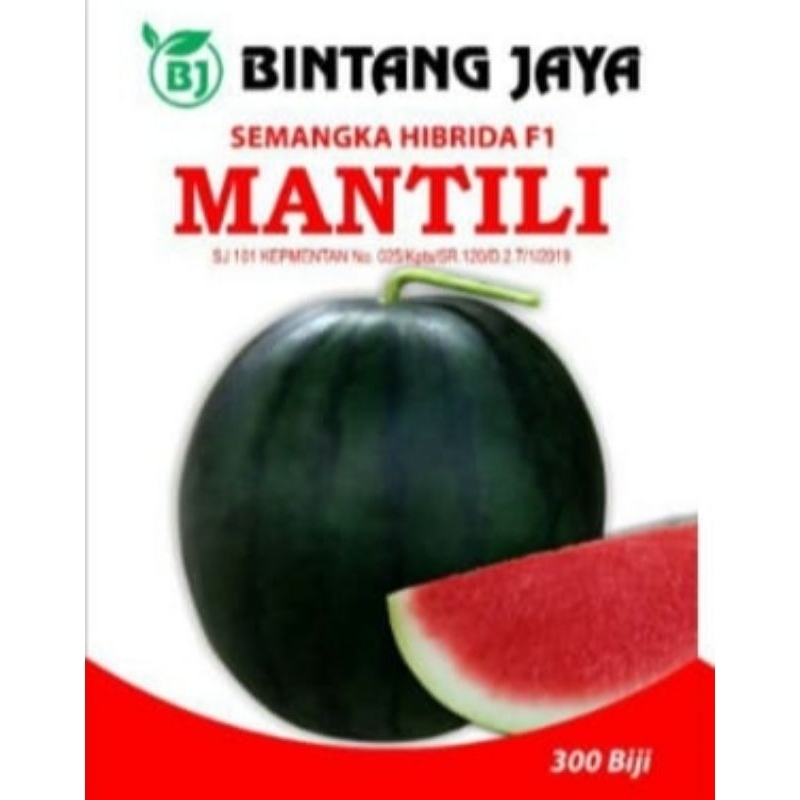 Benih semangka MATILI F1 bulat kulit hijau tua bintang jaya ready wijaya
