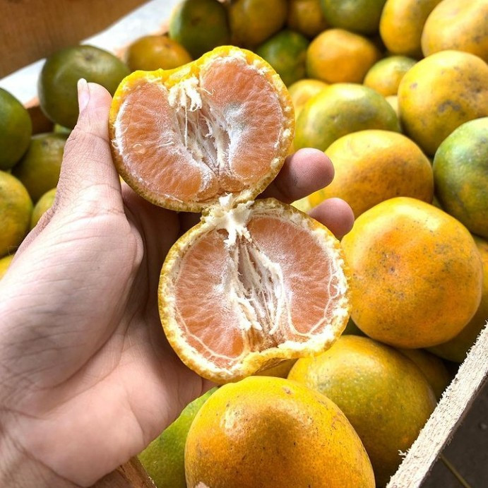 

Jeruk medan brastagi 500 gram