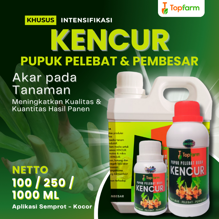 Pupuk Kencur / Pupuk Kencur Cair / Pupuk Tanaman Kencur / Pupuk Pelebat Buah Kencur / Pupuk Buat Tan