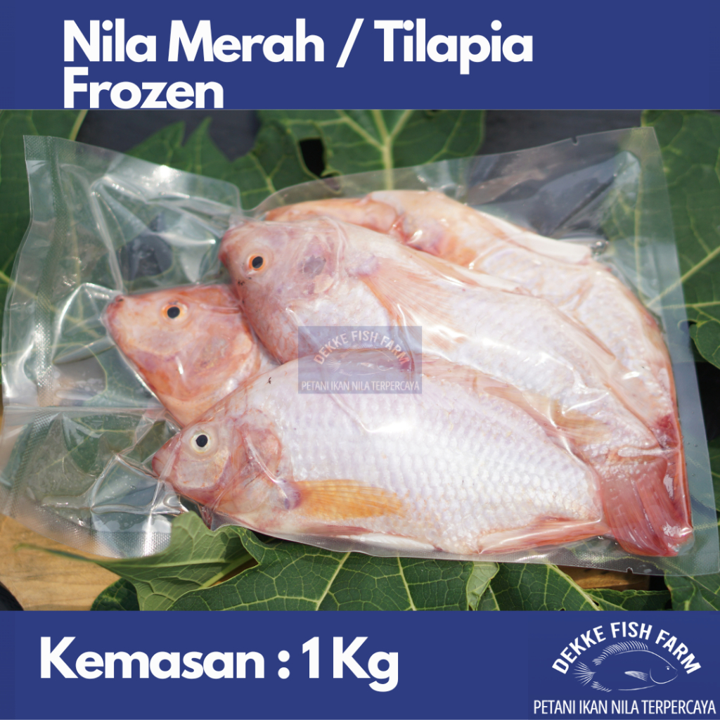 

RB Ikan Nila Merah Beku / Frozen Red Tilapia 1 Kg ( Sudah dibersihkan )