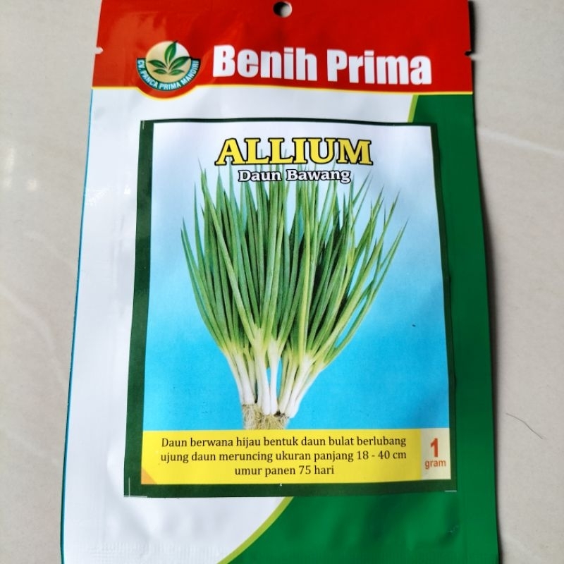 BENIH BIBIT DAUN BAWANG ALLIUM 1 GRAM BENIH PRIMA