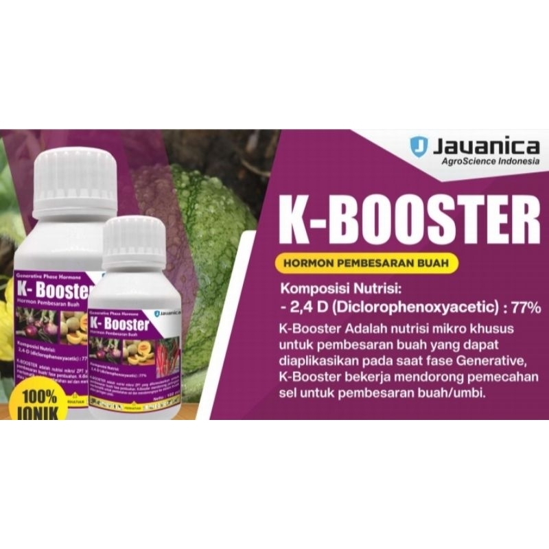 Pupuk K-Booster 100 ml pembesar buah