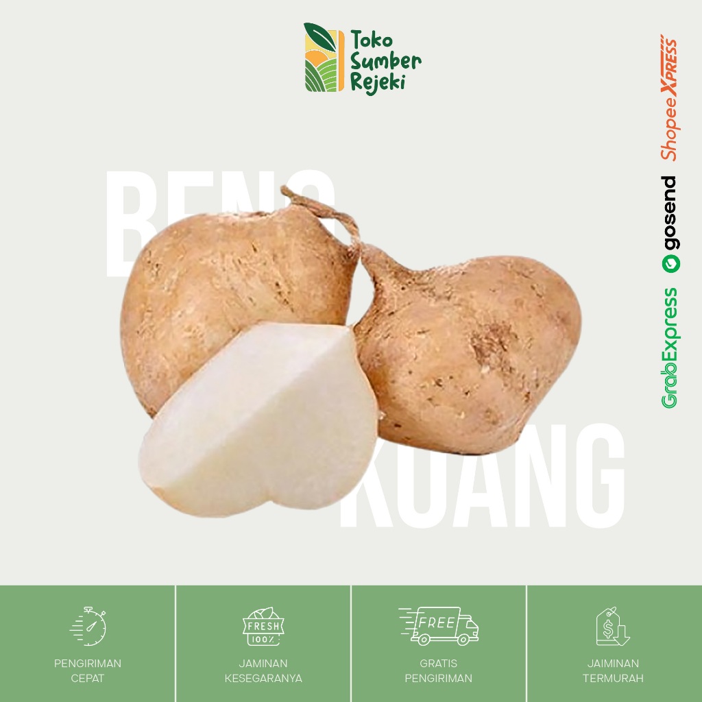 

Bengkoang / Besusu Segar - Toko Sumber Rejeki Yogyakarta