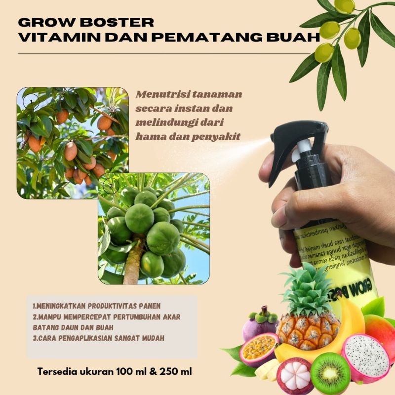 vitamin buah cairan ampuh meransang tanaman untuk berbuah siap pakai