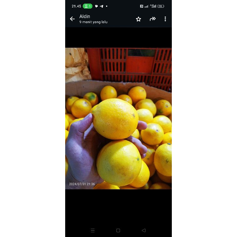 

JERUK LEMON IMPORT 1 KG fresh