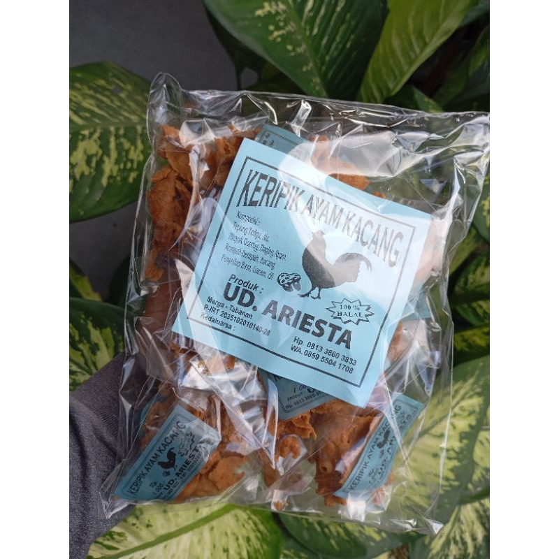 

KERIPIK AYAM KACANG UD. ARIESTA KHAS BALI