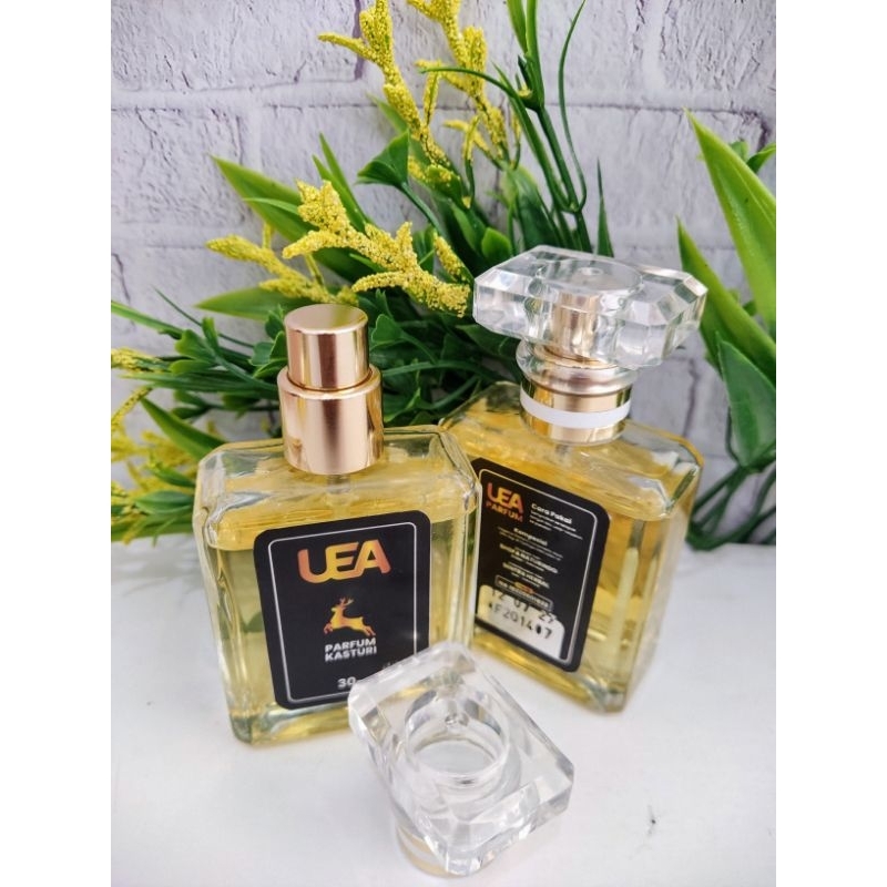 UEA Parfum Kasturi 30ml - alhambra - Parfum Mewah - alhambraofficial