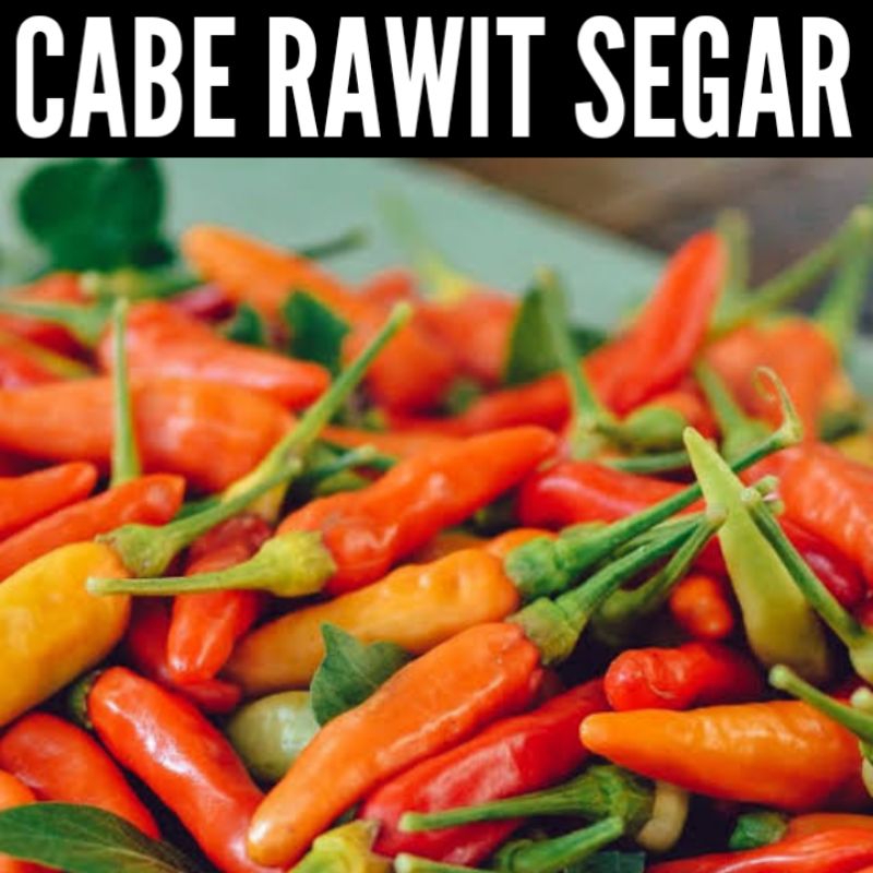 

Cabe Rawit Merah Super Pedas 1Kg