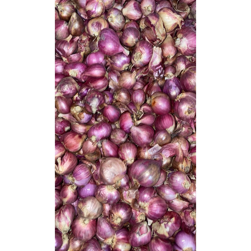 

Bawang merah garingg mantuull