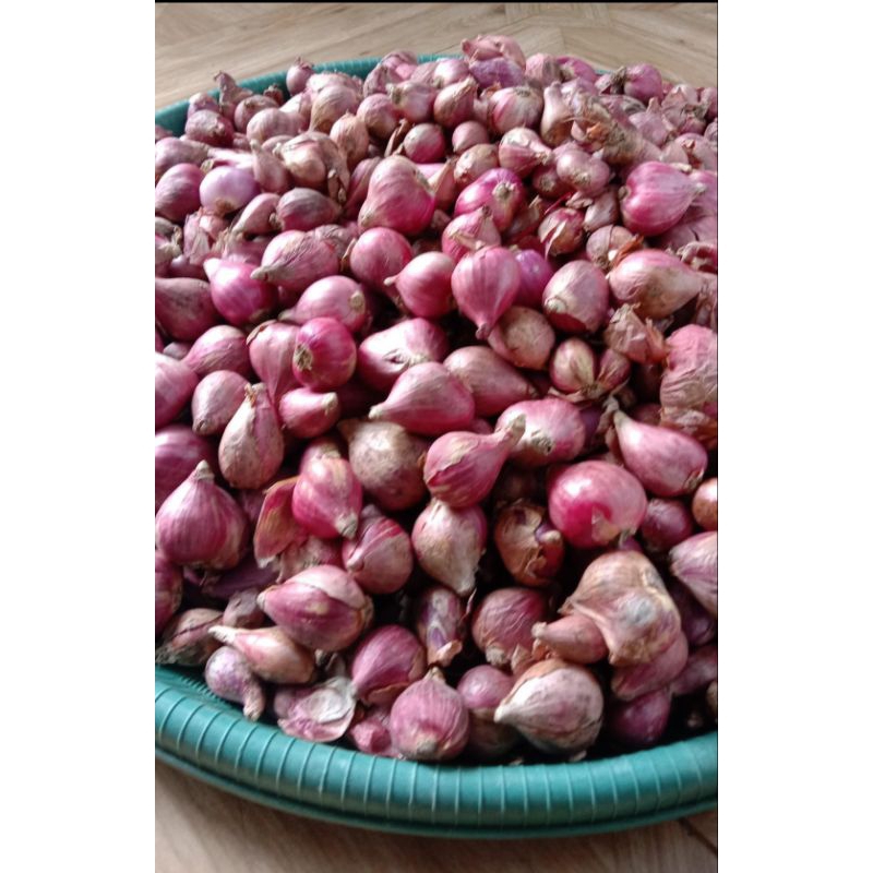 

Bawang merah pilihan 1kg