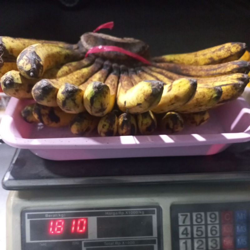 

pisang barangan medan super dan jumbo