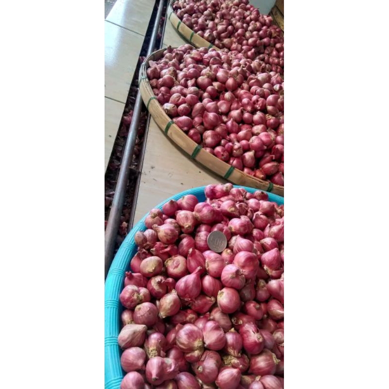 

Bawang Merah kering Sringg