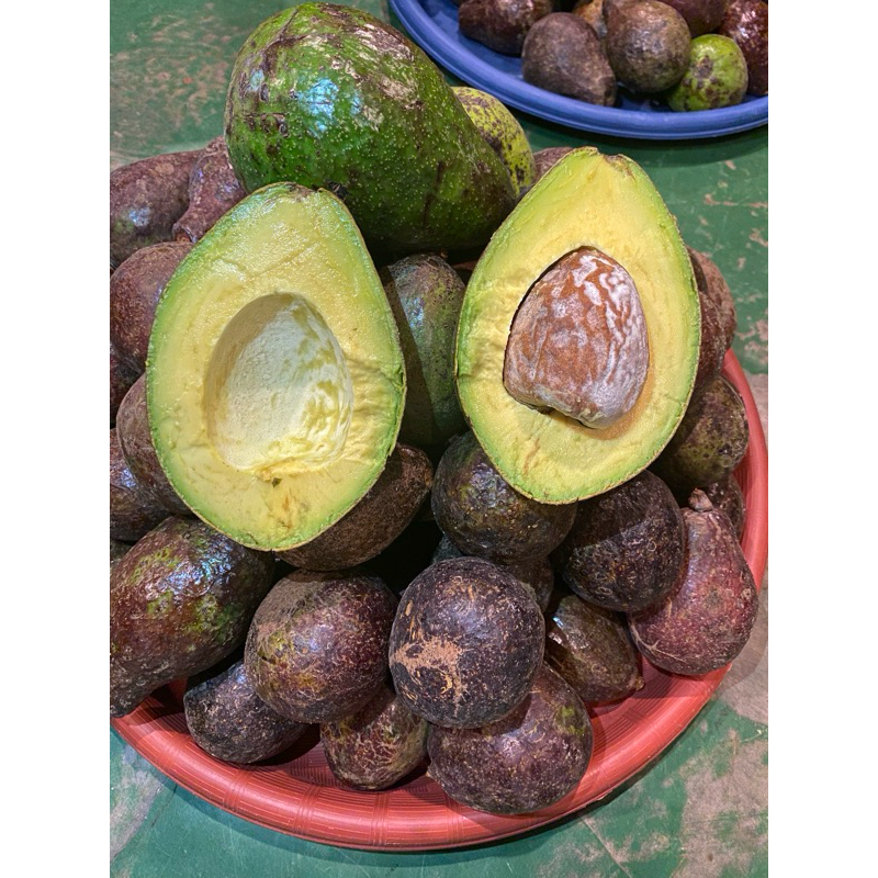 

ALPUKET MENTEGA